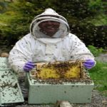 One Day Beginners Introduction To Beekeeping